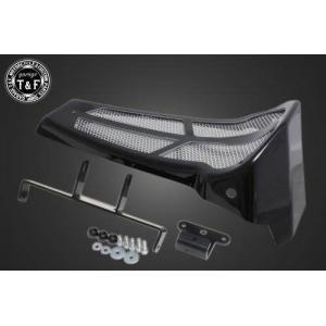 Garage T＆F ガレージT&F ドラッグスター250 フラットフェンダー
