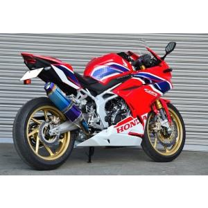 AKRAPOVIC（アクラポビッチ） 政府認証マフラー スリップオンライン