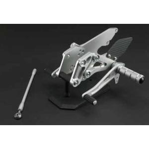 SPICE スパイス タクティカルステップ 3ポジション カラー：シルバー ZX-12R KAWAS...