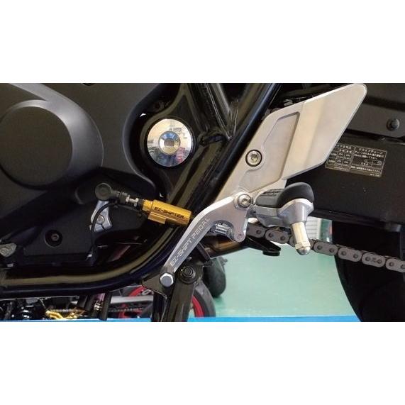 T-REV(寺本自動車商会) ティーレブ シフタースイッチ カラー：ゴールド CB1300SF CB...