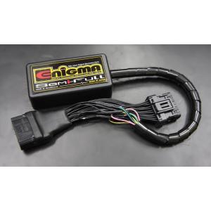 DILTS JAPAN ディルツジャパン ENIGMA SemiFull RTF カプラーオンモデル...