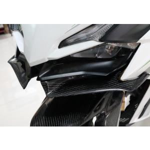 Carbon Variasi Carbon Variasi:カーボンバリアシ ウイングレット CBR250RR