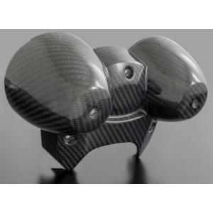 ARCHI アーキ メーターロアケース Z900RS CAFE SE KAWASAKI カワサキ そ...