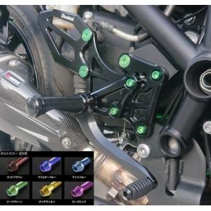 Magical Racing（マジカルレーシング） リアフェンダー タイプ：綾織