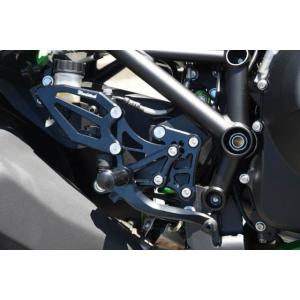 WOODSTOCK ウッドストック バックステップキット カラー：オールブラック Ninja H2 ...