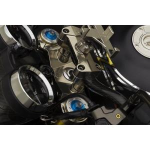 カワサキ（Kawasaki） 純正 Z900RS SE(22) フロントフォーク ダンパー