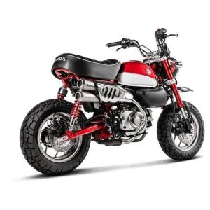 MIZUNO（ミズノ） MIZUNO MOTOR ミズノモーター 【ゼス】パッソル用
