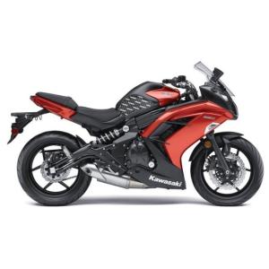 STOMPGRIP ストンプグリップ トラクシ...の詳細画像1