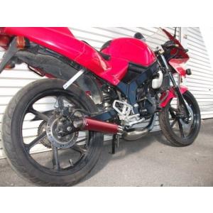 程度良 NS-1用 RSヨコタ製 チャンバー ns1 nsr50 ns50f RSヨコタ レーシングショップヨコタ NS-1走り屋倶楽部ショート