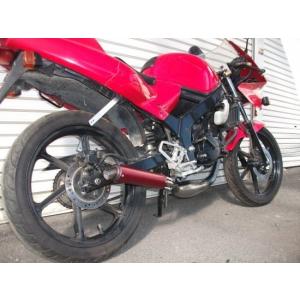 クレーバーウルフ製 RZ50用フェンダー CLEVER WOLF クレバーウルフ フロントフェンダー RZ50 YAMAHA