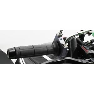 VIVIDPOWER ビビッドパワー リアスポイラー MAJESTY 4D9(SG20J)用