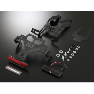 GALE SPEED（ゲイルスピード） R600-17 ゴールド TYPE-SB1 GSX-S1000