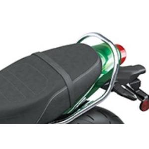カワサキ Kawasaki グラブバー カラー：メッキ(99994-1544