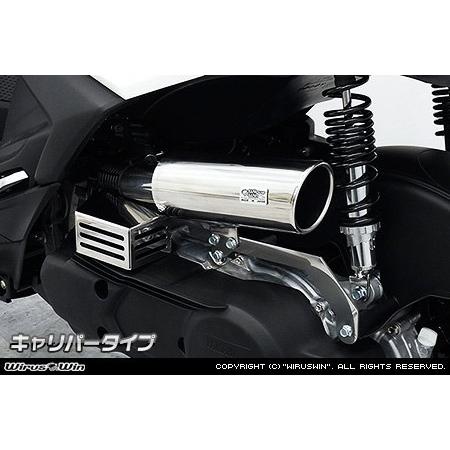 WirusWin ウイルズウィン キャリパータイプ エアクリーナーキット シグナス グリファス(CY...