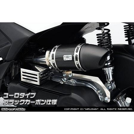 WirusWin ウイルズウィン サイレンサー型 エアクリーナーキット タイプ：ブラックカーボン シ...