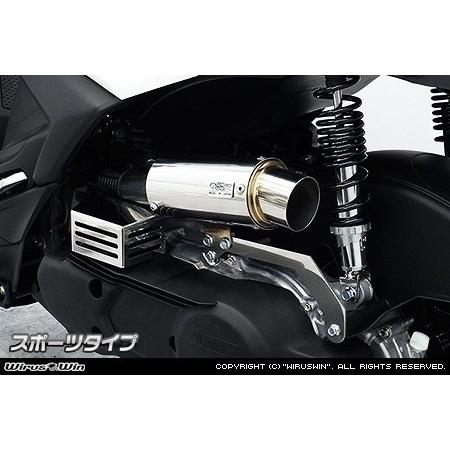 WirusWin ウイルズウィン サイレンサー型 エアクリーナーキット タイプ：スポーツタイプ シグ...