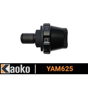 ダーバンデ　パーツ S-PARTS エスパーツ タンデムステップマウント用チタンボルトセット