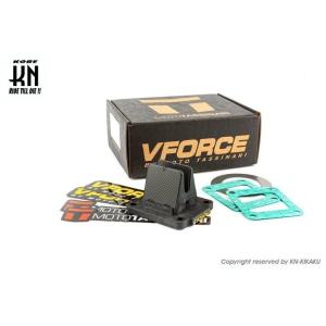 KN企画 ケイエヌキカク STAGE6 リードバルブ【V-FORCE3】 KX85 KAWASAKI...