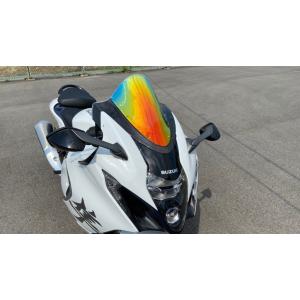 de LIGHT（ディライト） レースカウル、レースシートカウルセット 1199