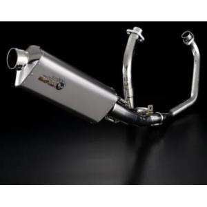 AKRAPOVIC（アクラポビッチ） 直送品 エボリューションライン チタン