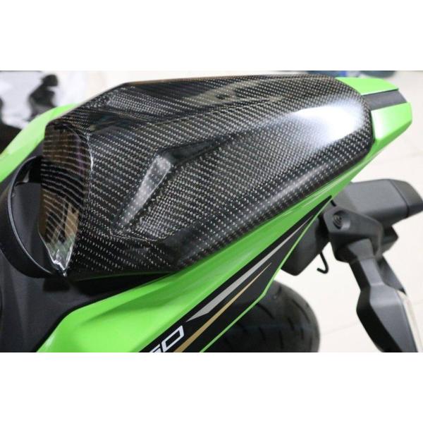 Carbon Variasi カーボンバリアシ シングルシートカウル ZX-25R KAWASAKI...