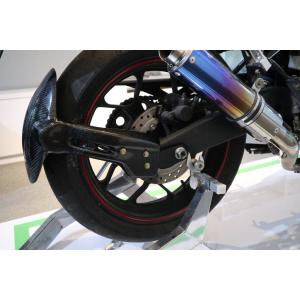 SPEED CARBON スピードカーボン チェーンカバー Monster S2R1000