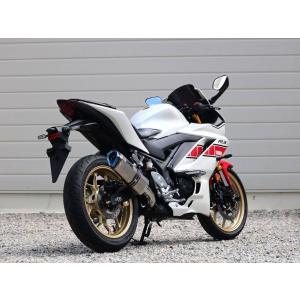 WR'S（ダブルアールズ） WR'S SS-OVAL スリップオンマフラー