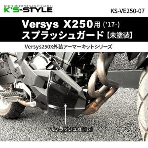 カワサキ（Kawasaki） フォグランプ VERSYS-X 250 TOURER TOURER