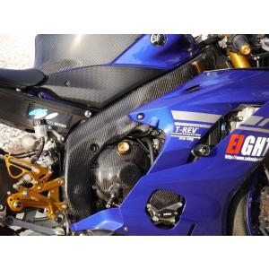 EIGHT(才谷屋) エイト(サイタニヤ) フレームカバー 素材：カーボン綾織 / タイプ：右側用 ...