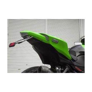 COERCE（コワース） フェンダーレスキット イナズマ1200(GSX1200FS