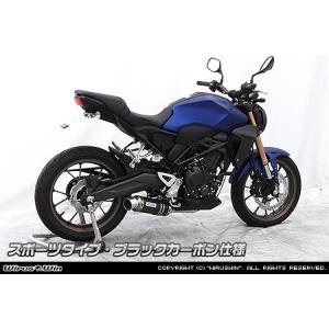 WirusWin CB250R(8BK-MC52) ダイナミックマフラー ユーロタイプ チタン