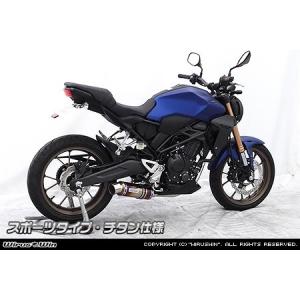 AKRAPOVIC CB300R/CB250R(-20) スリップオンマフラー AKRAPOVIC アクラポビッチ スリップオンラインマフラー CB250R