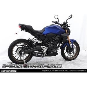 AKRAPOVIC CB300R/CB250R(-20) スリップオンマフラー AKRAPOVIC アクラポビッチ スリップオンラインマフラー CB250R