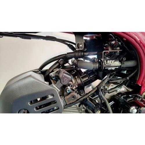 T-REV(寺本自動車商会) ティーレブ T-REVmini SPキット カラー：ブラック Dax1...
