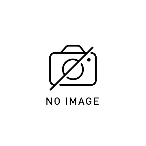 A-TECH エーテック アッパーカウルSTD【付属品】 Ninja ZX-10R KAWASAKI...