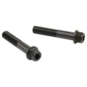 PLOT プロト プロトブレンボ ステンレスキャリパーマウントボルト カラー：ブラック キャリパーボ...