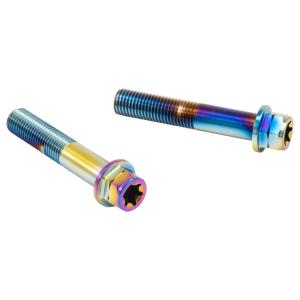 PLOT プロト プロトブレンボ ステンレスキャリパーマウントボルト カラー：チタン キャリパーボル...