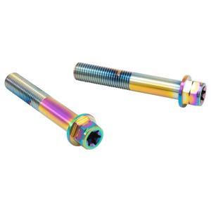 PLOT プロト プロトブレンボ ステンレスキャリパーマウントボルト カラー：チタン キャリパーボル...