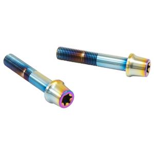 PLOT プロト プロトブレンボ ステンレスキャリパーマウントボルト カラー：チタン キャリパーボル...