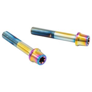 PLOT プロト プロトブレンボ ステンレスキャリパーマウントボルト カラー：チタン キャリパーボル...