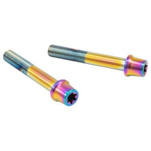 PLOT プロト プロトブレンボ ステンレスキャリパーマウントボルト カラー：チタン キャリパーボル...