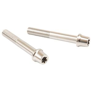 PLOT プロト プロトブレンボ ステンレスキャリパーマウントボルト カラー：ポリッシュ キャリパー...