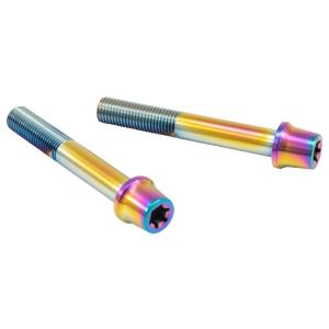 PLOT プロト プロトブレンボ ステンレスキャリパーマウントボルト カラー：チタン キャリパーボル...