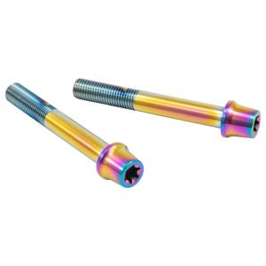 PLOT プロト プロトブレンボ ステンレスキャリパーマウントボルト カラー：チタン キャリパーボル...