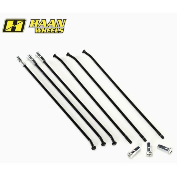 HAAN WHEELS ハーンホイール OEM カスタムコーティングブラックスポーク＋ニップルセット...