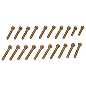 CF POSH CFポッシュ クランクケースカバーネジセット カラー：24Kメッキステンレス CRO...