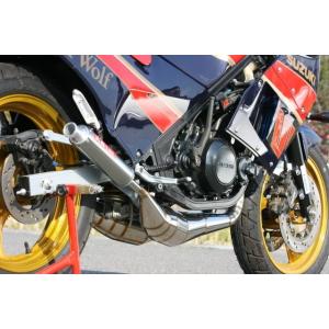 TERMIGNONI（テルミニョーニ） WSSレプリカフルエキゾーストキット