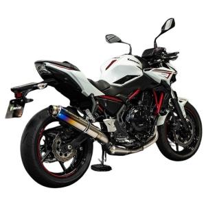 AKRAPOVIC (アクラポビッチ) スリップオンライン カーボン Ninja