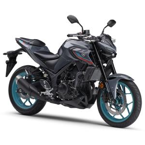 POWERBRONZE ネイキッド・スクリーン カラー：ブラック MT-03 MT-25