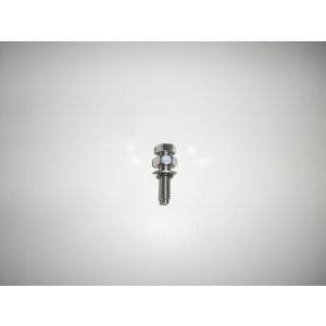 AGAIN アゲイン カムチェーンセッティングボルト A1 CB400FOUR HONDA ホンダ ...